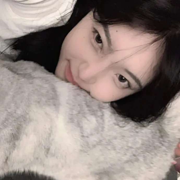 春风满锦城