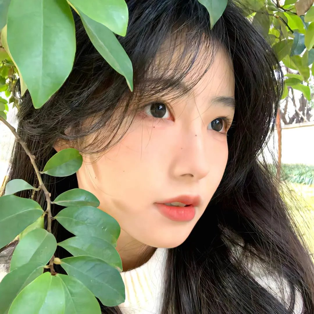 蜘蛛眼